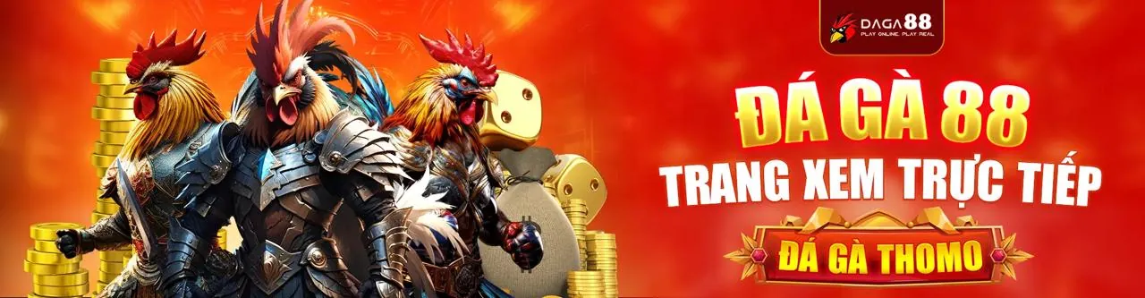 Sân đấu đá gà trực tuyến 79king 111 sôi động